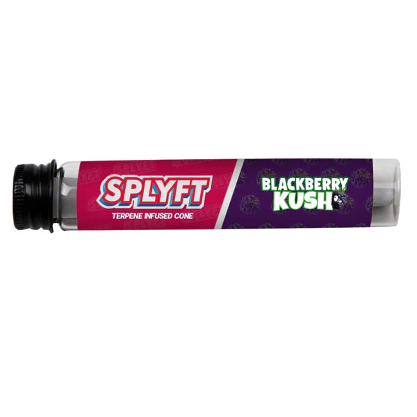 296495792.webp