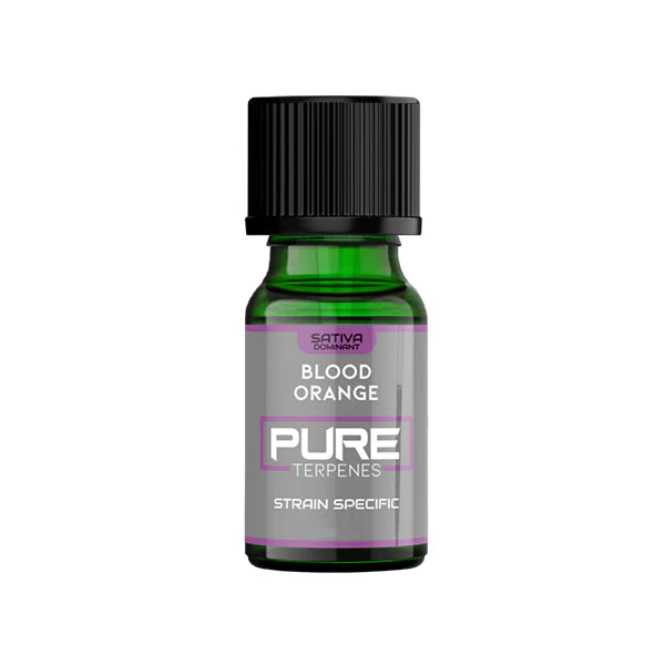 296500415.webp