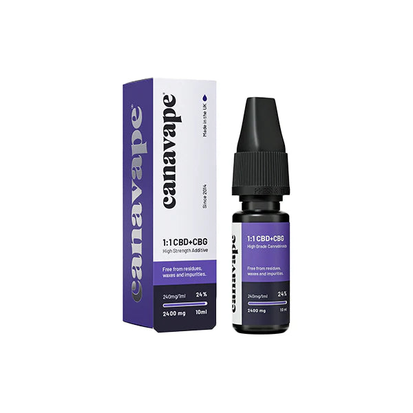 296500608.webp
